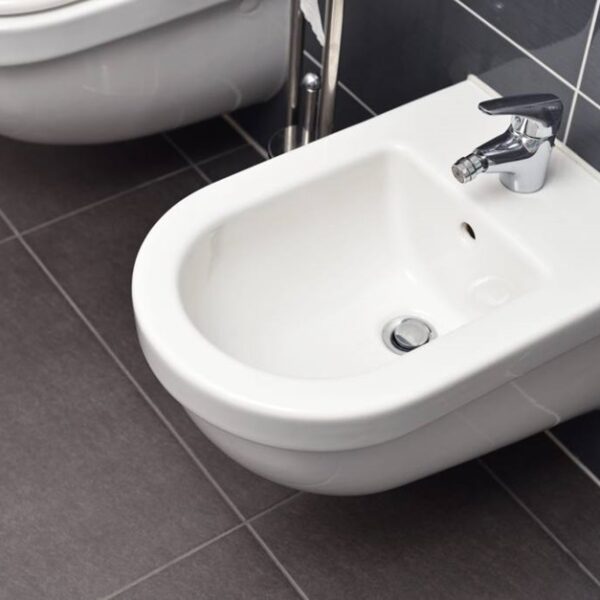 6 Essentials to Know Before Buying a Bidet