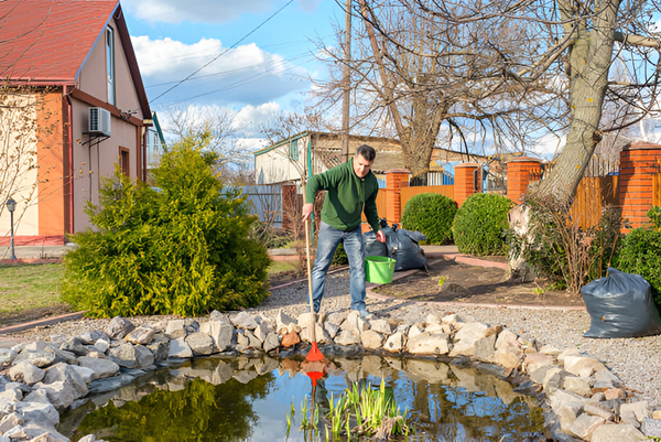 Brilliant Pond Maintenance Tips for a Thriving Ecosystem